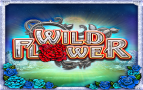 Thumbnail_117_Wild_Flower_143x90.png