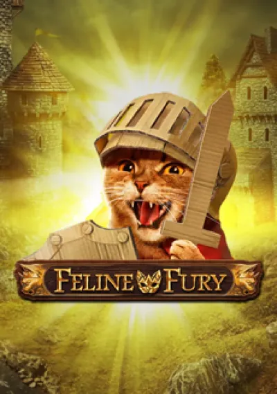 Feline Fury